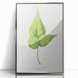 Detailed Realism Art Print - Adiantum Wilsoni Fern Botanical Illustration