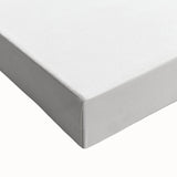 Detailed Realism Art Print - Adiantum Wilsoni Fern Botanical Illustration