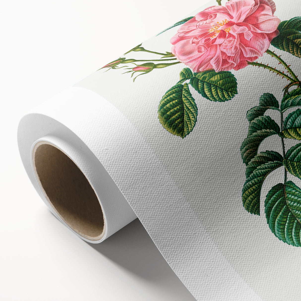 Neoclassical Art Print: Ever-blowing Rose by Redouté - Botanical Wall Art