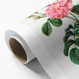 Neoclassical Art Print: Ever-blowing Rose by Redouté - Botanical Wall Art