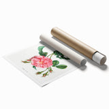 Neoclassical Art Print: Ever-blowing Rose by Redouté - Botanical Wall Art