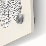 Heart and Skeleton Halloween Wall Art - Gothic Anatomical Decor