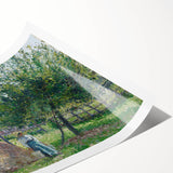 Apple Trees in Éragny, Sunny Morning - Idyllic Landscape by Camille Pissarro