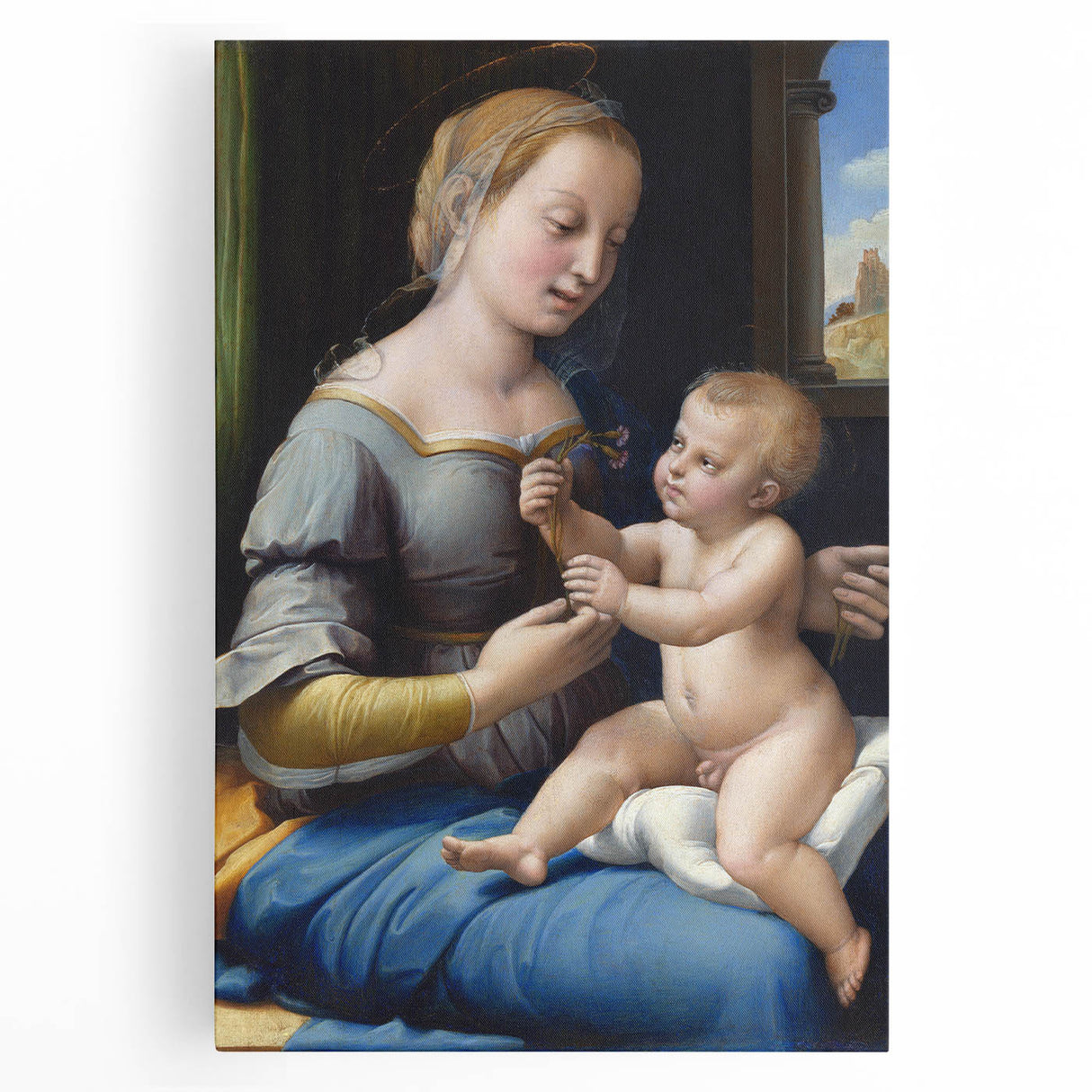 Renaissance Art Prints: Raphael's The Madonna of the Pinks Decor