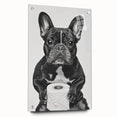 French Bulldog Bathroom Wall Art - Bold Black and White Decor