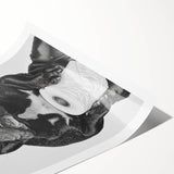 French Bulldog Bathroom Wall Art - Bold Black and White Decor
