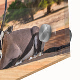 Mid-century modernist acrylic print of an abstract African landscape in muted earth tones, ideal for dining room art.