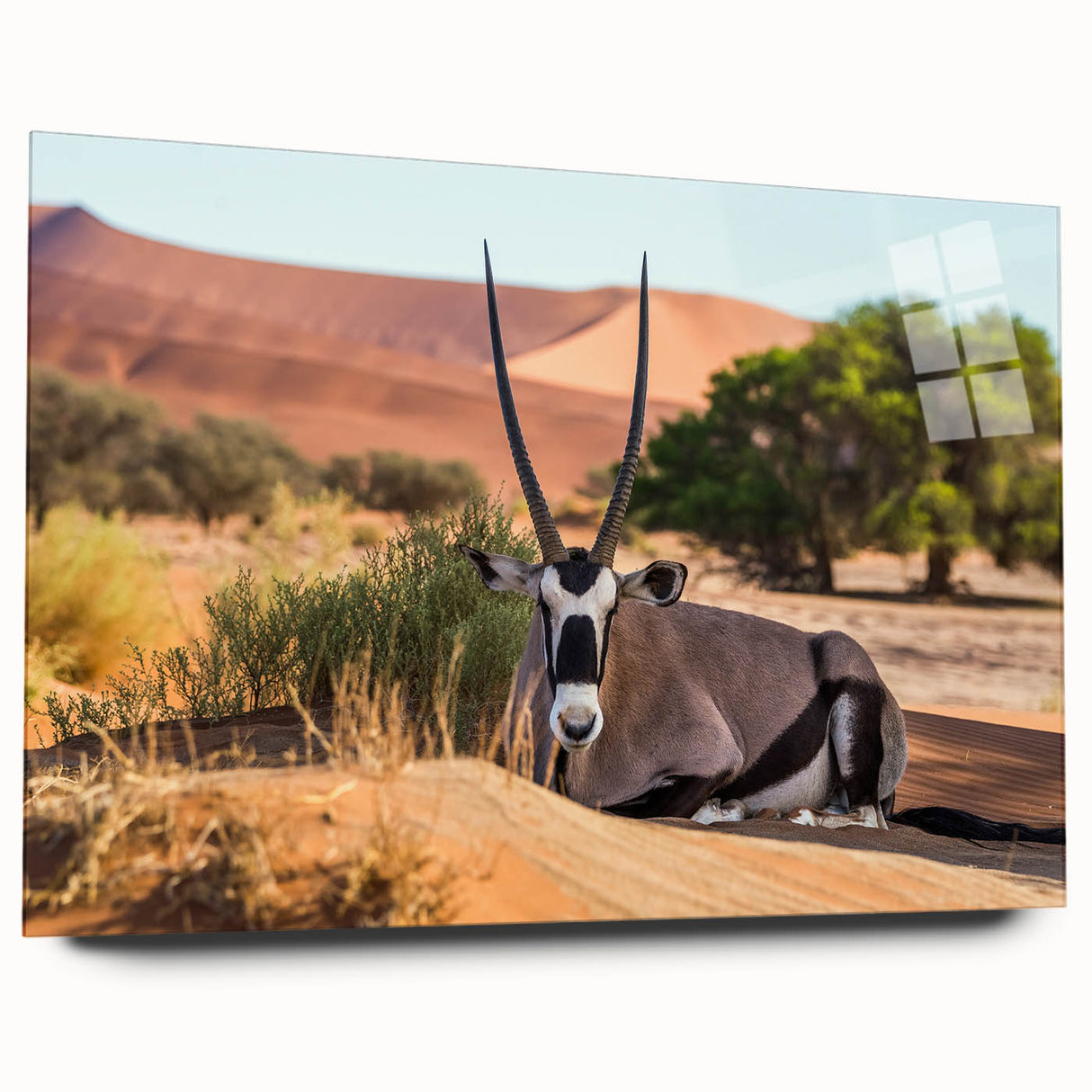 Large abstract wall art of Namibian scenery in muted earth tones on acrylic glass, ideal for bedroom or dining room decor.