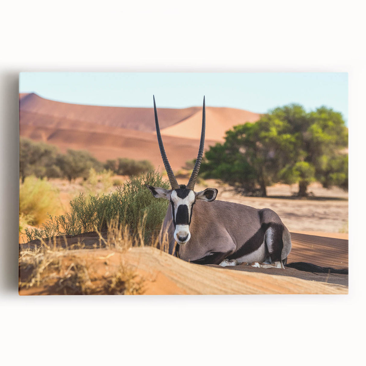 Black and white stretched canvas featuring a large, detailed Namibian landscape, ideal for kitchen wall art.