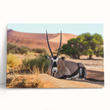 Black and white photo of Namibian landscape on large stretched canvas, ideal for kitchen wall art or bedroom decor.
