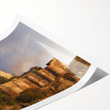 Extra large wall art featuring line art flowers in muted earth tones on a rolled canvas.