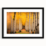 Extra large abstract art print of Yukon scenery in vibrant colors on a textured canvas, framed in black.