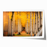 Extra large rolled print of Yukon scenery in muted earth tones, ideal for art wall in dining room.