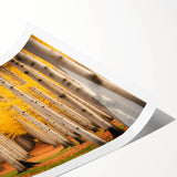 Extra large wall art featuring line art flowers on a rolled print, set in muted earth tones.