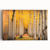 Black and white photo of Yukon landscape on large stretched canvas, ideal for kitchen wall art.