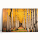 Black and white photograph of the Yukon scenery on large stretched canvas, ideal for kitchen wall art or bedroom ambiance.