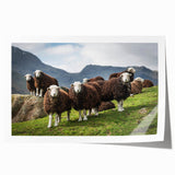 Extra large rolled print of Cumbria, England scenery with lush greenery and floral elements, ideal for art wall dining room.