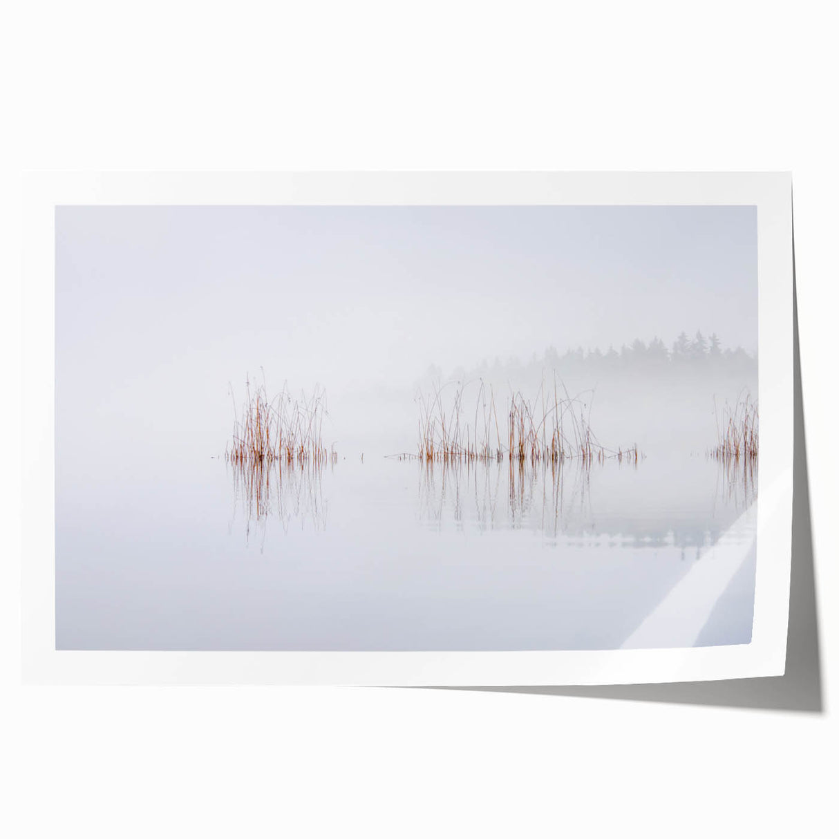 Extra large rolled print of a serene Finnish landscape with lush greenery and floral elements.