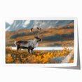 Rolled print of a Greenland landscape with lush greenery, suitable as art wall dining room decor.