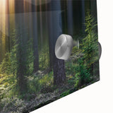 Large abstract wall art depicting a Latvian scenery in muted earth tones on acrylic glass, suitable for dining room decor.