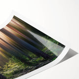 Extra large rolled print featuring line art flowers in monochrome, ideal for large living room wall art.