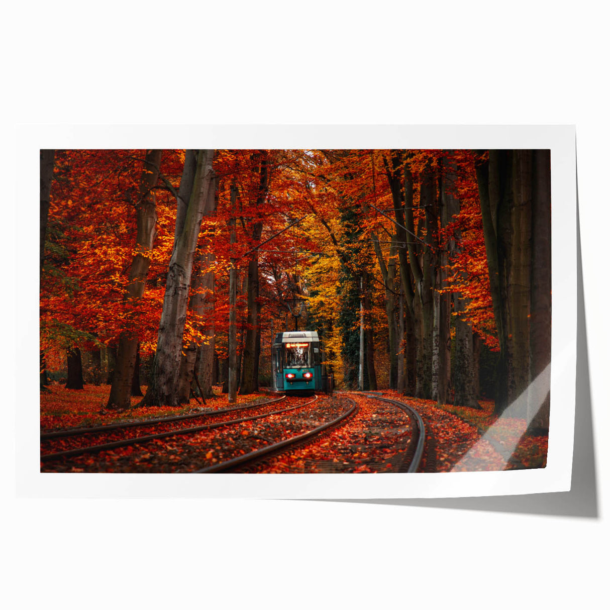 Extra large wall art featuring a scenic view of a Polish landscape on a rolled canvas, with muted earth tones.