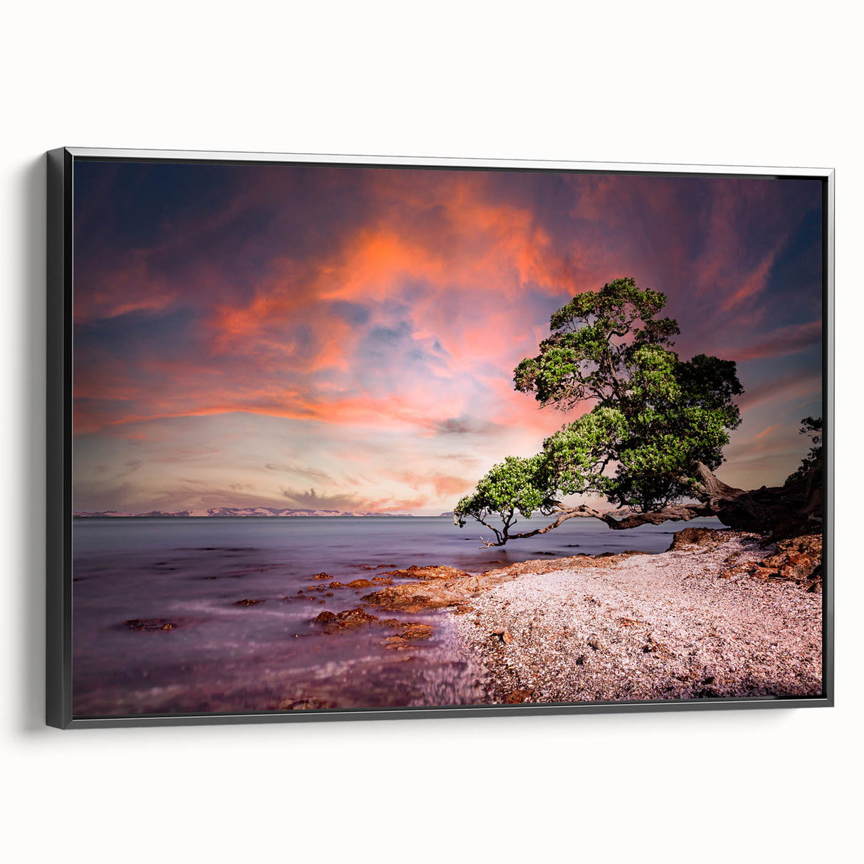 Black and white landscape art painting of Auckland, on framed canvas, ideal for bedroom wall decor.
