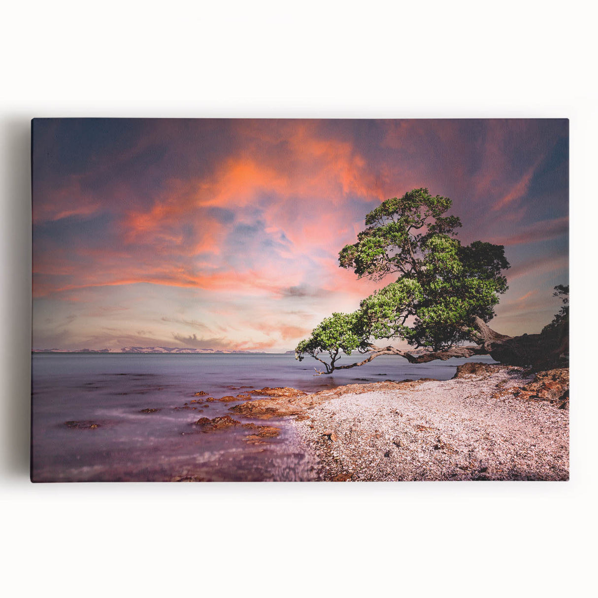Black and white photo of Auckland skyline on large stretched canvas, suitable for kitchen wall art.