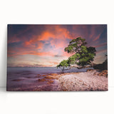 Black and white photograph of Auckland skyline on stretched canvas, ideal for kitchen wall art.