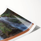 Extra large rolled print of line art flowers in neutral tones, ideal for large living room wall art.