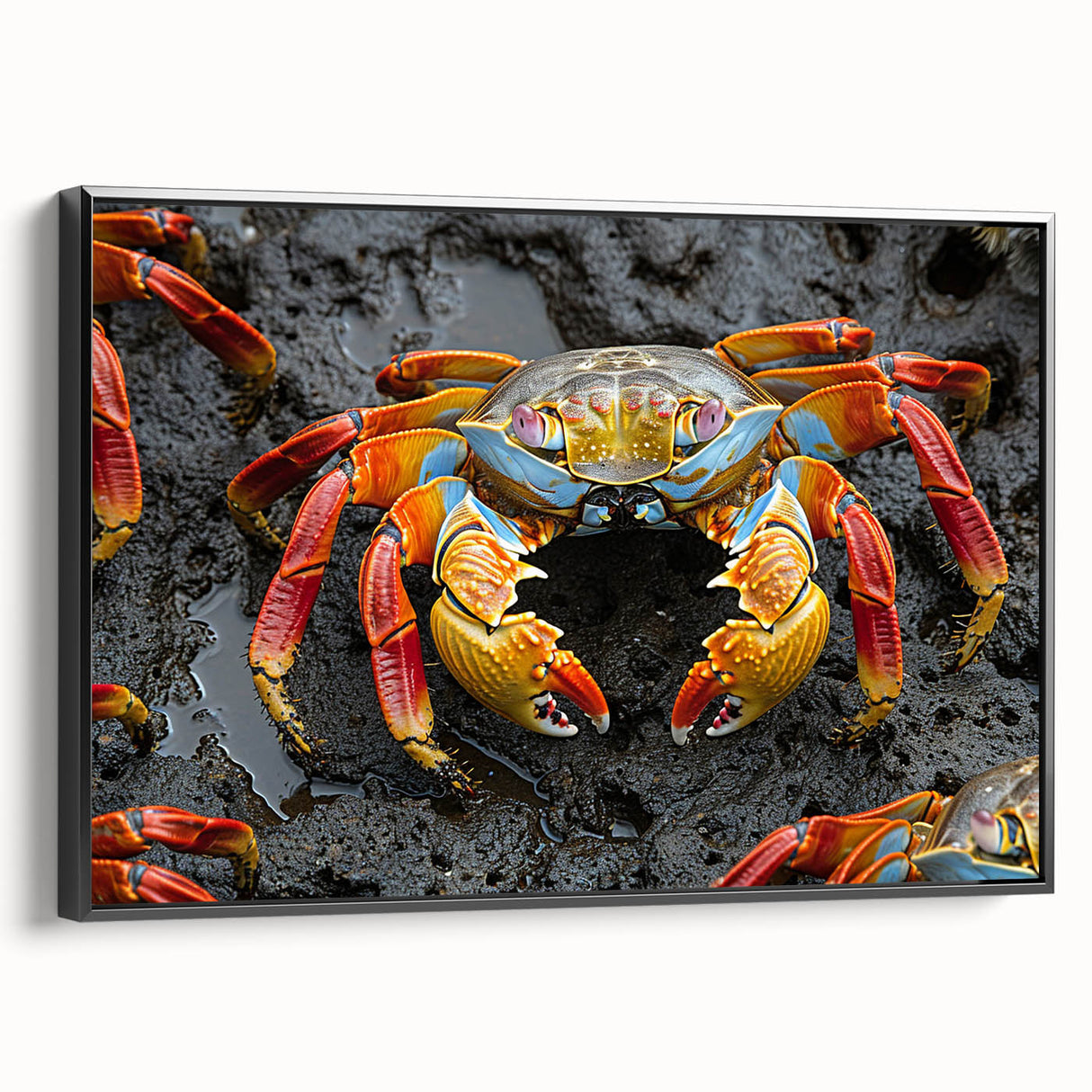 Framed black and white canvas of a vintage-style Galapagos landscape, ideal for bedroom wall decor.