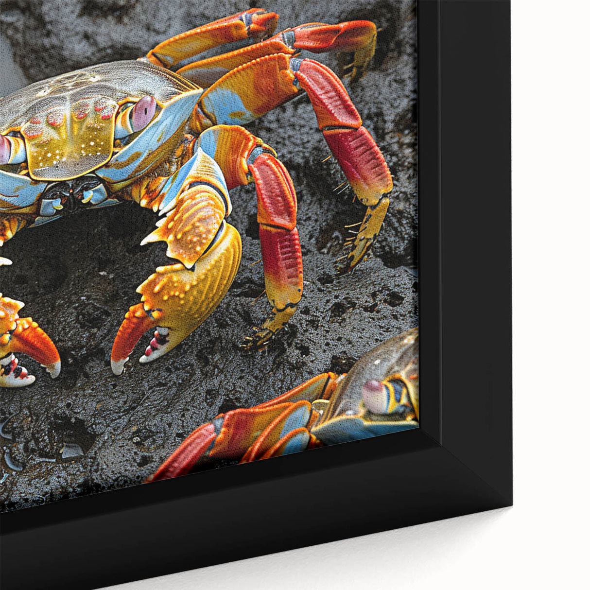 Extra large black wall art depicting a colorful, textured Galapagos scenery on framed canvas, suitable for living room decor.