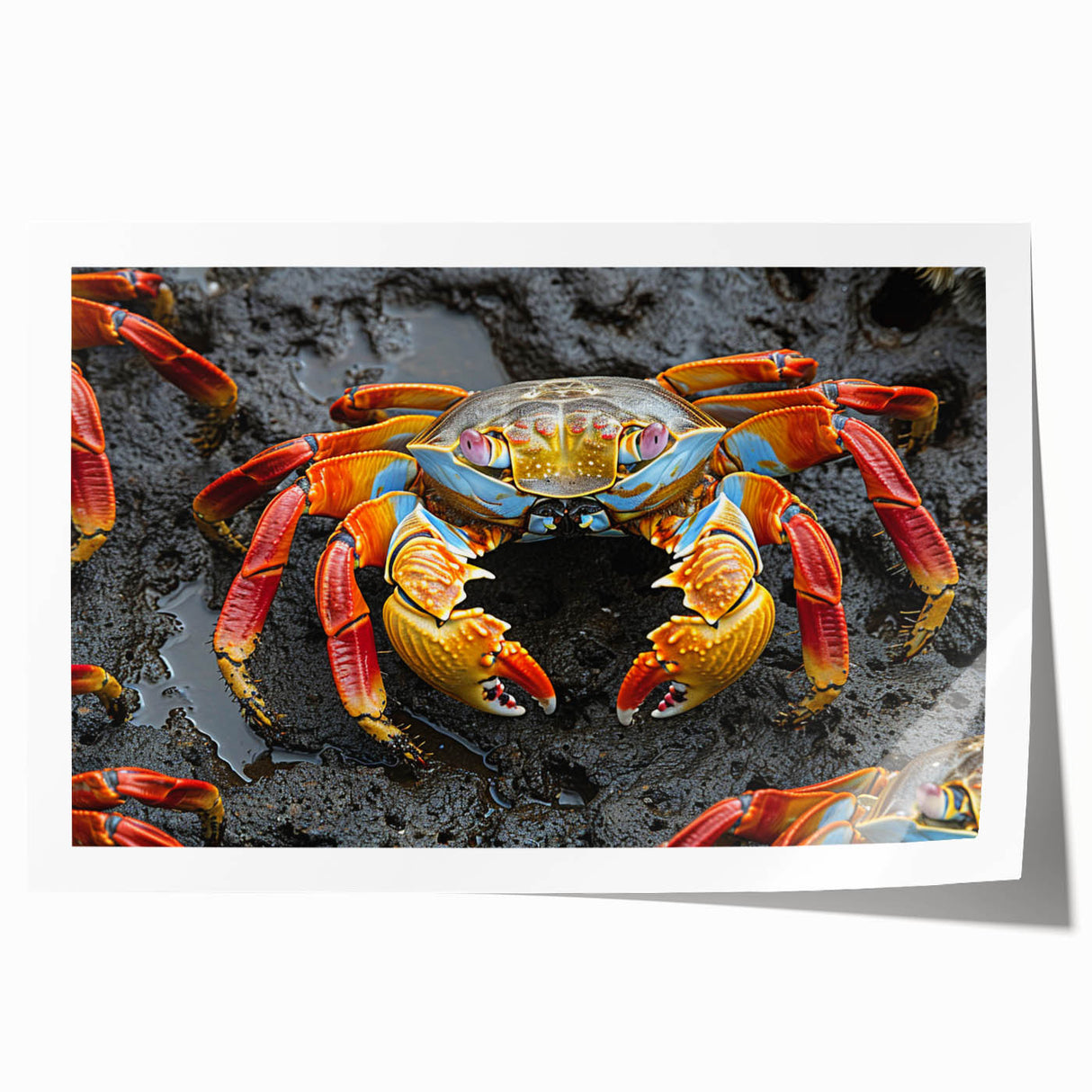 Extra large rolled print depicting vibrant Galapagos scenery with lush florals, ideal for art wall dining room.