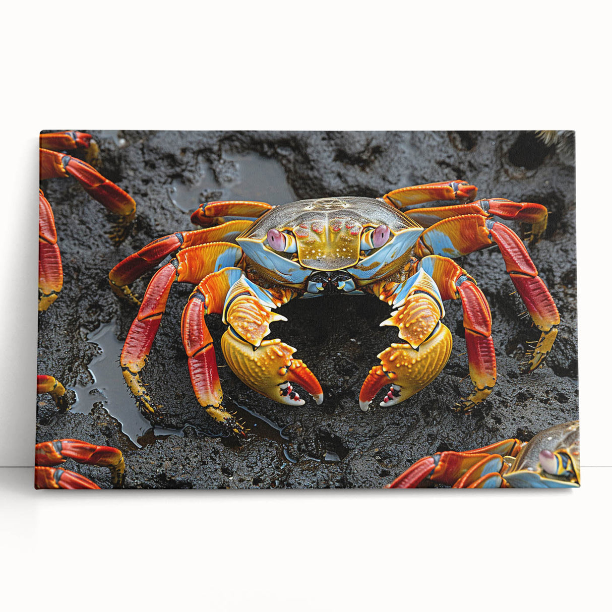Black and white stretched canvas of Galapagos scenery, ideal for kitchen wall art or bedroom ambiance.