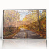 Acadia National Park scenery on white-framed acrylic, featuring muted earth tones.