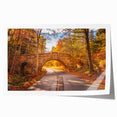 Acadia National Park scenery on rolled print, featuring muted earth tones, ideal for art wall dining room.