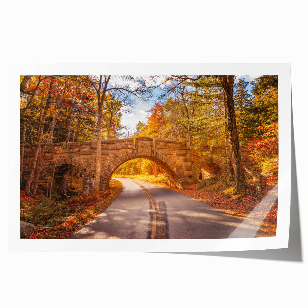 Acadia National Park scenery on rolled print, featuring muted earth tones, ideal for art wall dining room.