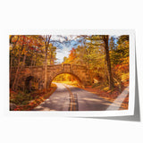 Acadia National Park scenery on rolled print, featuring muted earth tones, ideal for art wall dining room.