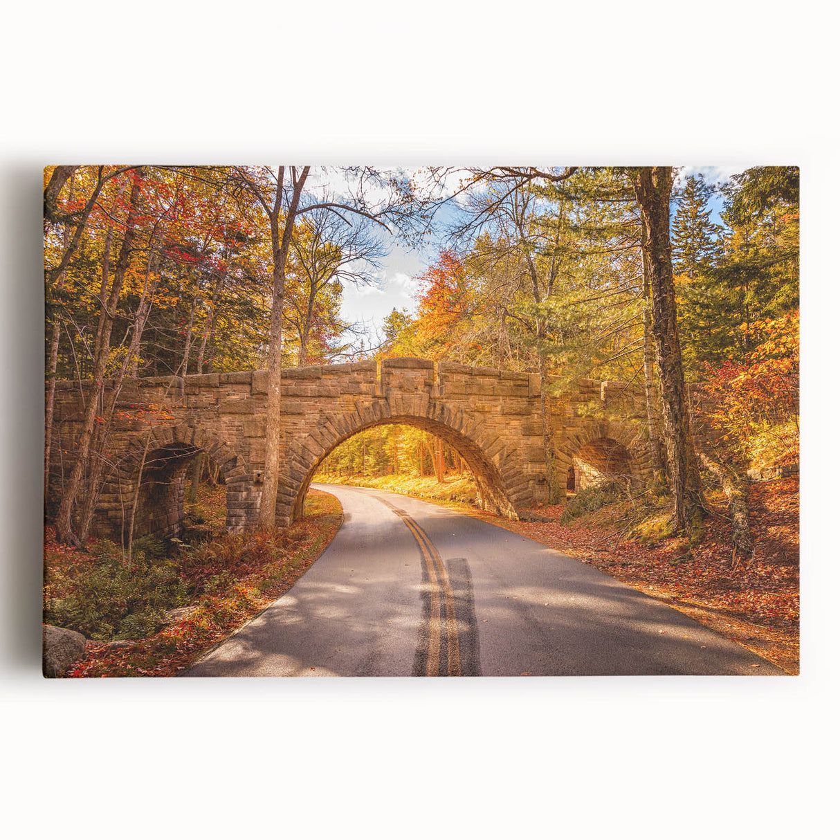Black and white photograph of Acadia National Park on stretched canvas, ideal for kitchen wall art.