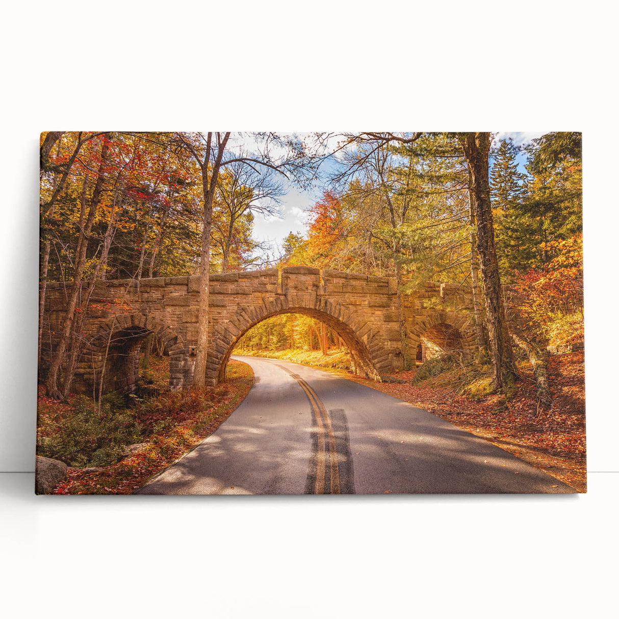 Black and white stretched canvas of Acadia National Park, ideal for kitchen wall art or bedroom ambiance.