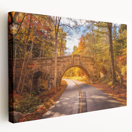 Acadia National Park scenery on stretched canvas, featuring muted earth tones and a realistic style.