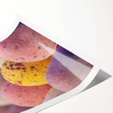 Extra large wall art featuring line art flowers in pastel shades on a rolled print, ideal for large living room decor.