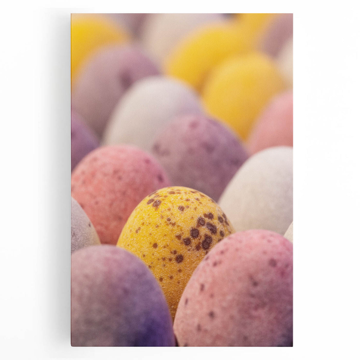 Black and white abstract depiction of spring on large stretched canvas, suitable for kitchen wall art.