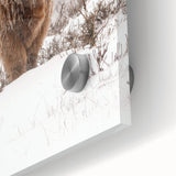 Large abstract wall art featuring wintery blue and gray tones on acrylic glass.