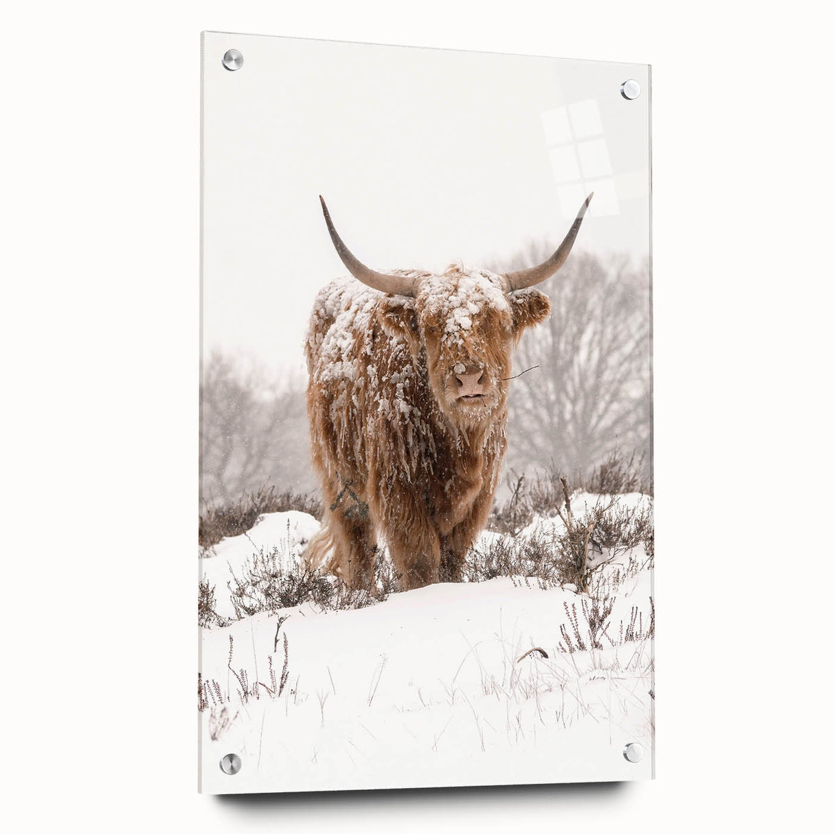 Acrylic print of a large abstract wall art depicting winter, with muted cool tones, ideal for bedroom or dining room decor.
