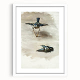 Romanticism Art: Studies of a Dead Bird by John Singer Sargent