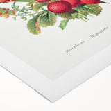 Classic Romantic Paintings - Strawberry and Tulip Art Print