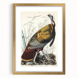 Detailed Wild Turkey Realism Art Print - Classical Realism Canvas Decor