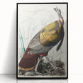 Detailed Wild Turkey Realism Art Print - Classical Realism Canvas Decor
