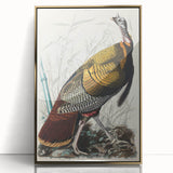 Detailed Wild Turkey Realism Art Print - Classical Realism Canvas Decor